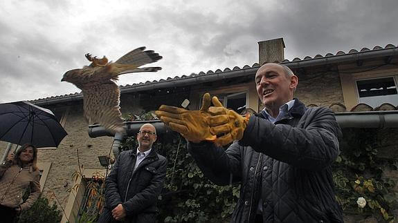 En fågel släpps fri efter framgångsrik behandling.