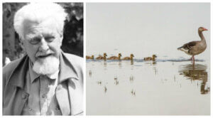 Zoologen Konrad Lorenz och hans studier av djurens beteende