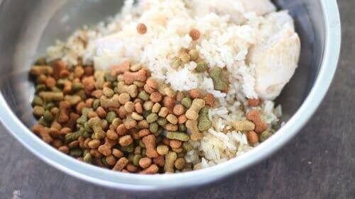 Hundfoder blandat med ris.