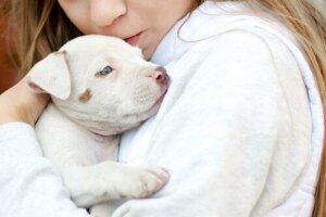 Djurterapi för barn med autismdiagnos