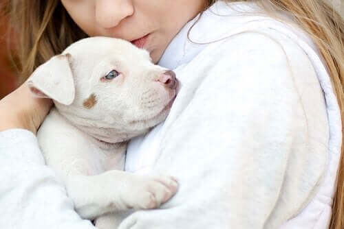 Djurterapi för barn med autismdiagnos