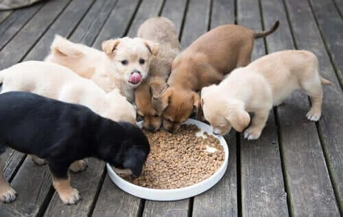 säkerhetsåtgärder balkong