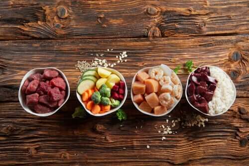 Skålar med olika livsmedelsgrupper