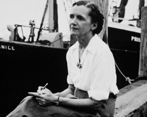 Rachel Carson: En inspiration för Greta Thunberg?
