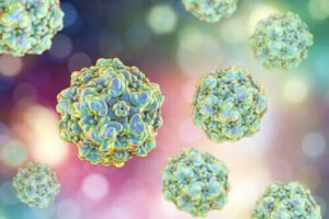 Mikroorganismer orsakar kroniskt trötthetssyndrom hos djur