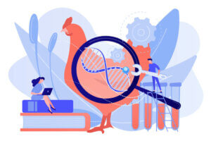 Vad är genetiskt urval bland husdjur?