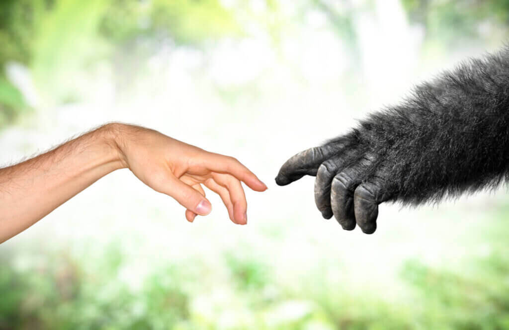 Lamarckismen i moderna tider: evolutionsteorier