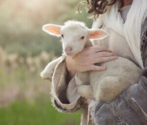 Diarré hos små nyfödda idisslare: Symptom på kryptosporidios