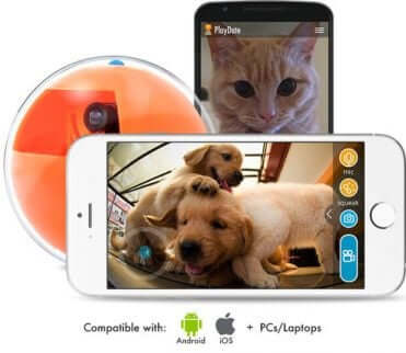 Kamerabilder från Playdate hundleksak.