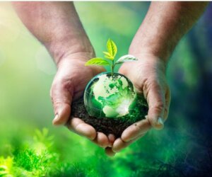 Ekologisk balans: vad är det och vilka faktorer förändrar den?