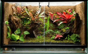 terrarium