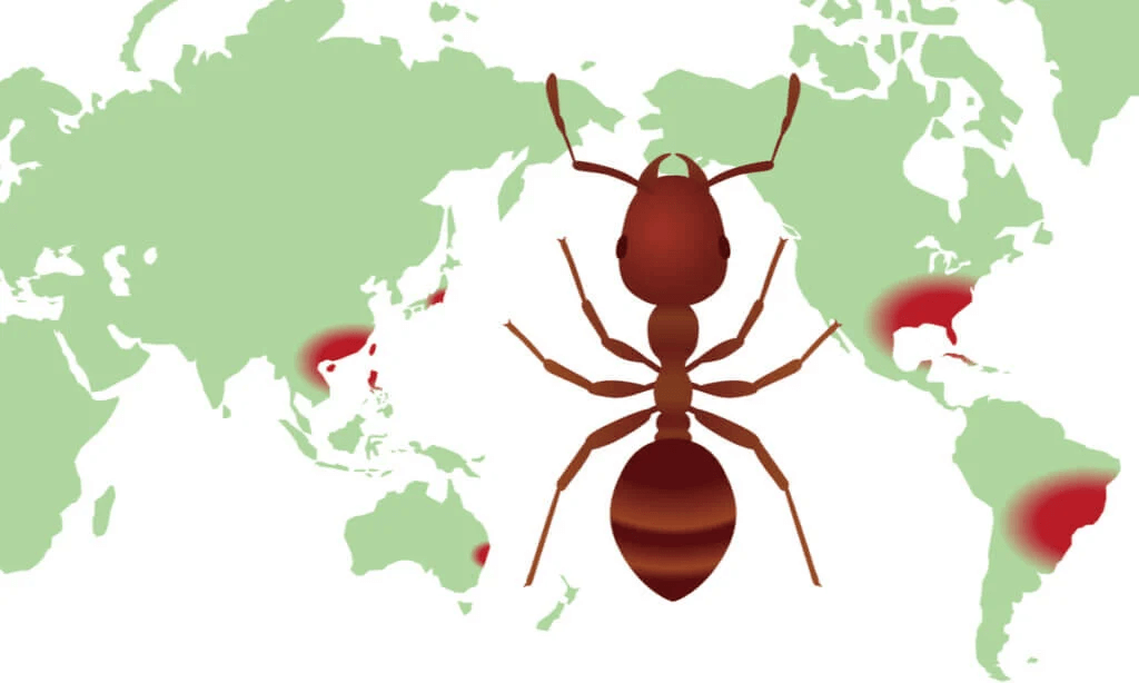 Vad är distributionskartor för biologisk mångfald?