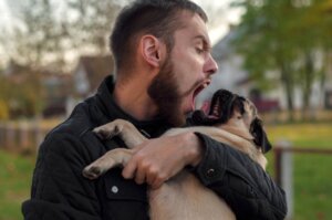 5 saker du inte bör göra med din hund
