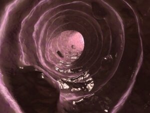 Slem i hundavföring: Orsaker och behandling