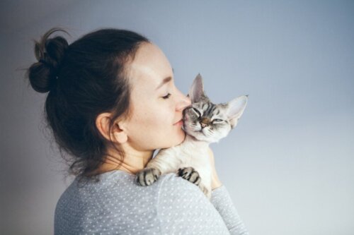 Hur vet jag om jag är en sann kattälskare?