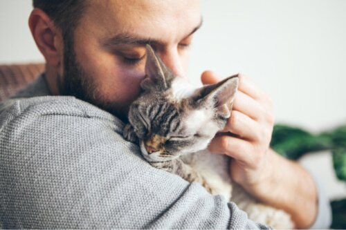 Är det en bra idé att sova med sin katt?