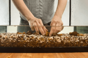 bottensubstrat för akvarier