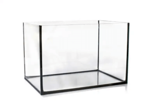 Ett tomt glasakvarium