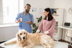 Ny studie undersöker hundens tarmflora världen över