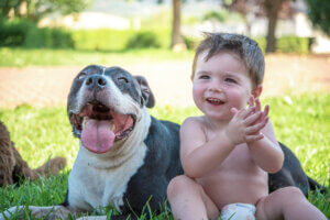 En amstaff vilar bredvid en liten pojke.
