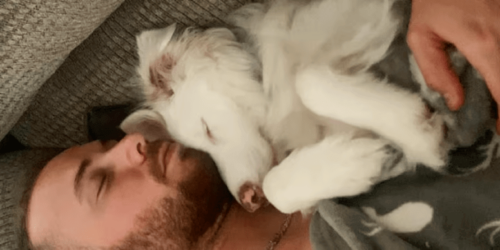 En man som skapat ett system för att kommunicera med sin blinda hund