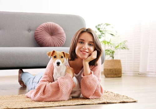 8 användbara tips för att hjälpa ditt husdjur att klara flytten