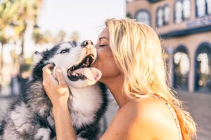 Superstimuli: hur djur reagerar och påverkas