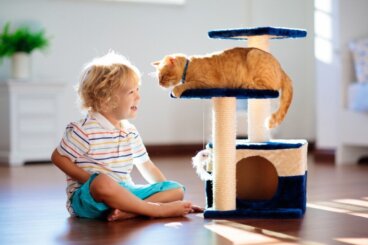 Vad gör du om din katt blir svartsjuk på din bebis?